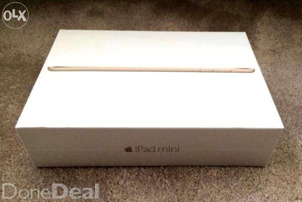 iPad mini4 64G 金色 A1538~wifi版~~~~已到貨~~~~已到貨
