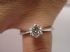 ���E�y���~���G�y���~��� Tiffany�� 1.01 �J�� H ��K�� �k�p��
